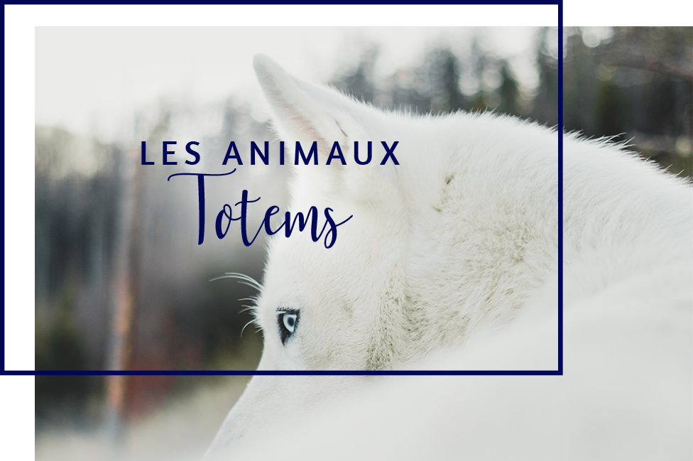 Les animaux Totems