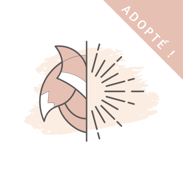 Logo à adopter - la sorcière graphique